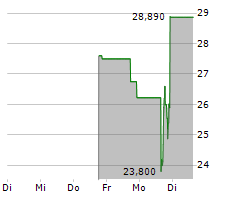 AMENTUM HOLDINGS INC Chart 1 Jahr