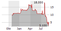 BIGREP SE Chart 1 Jahr