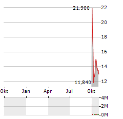 BINGEX Aktie Chart 1 Jahr