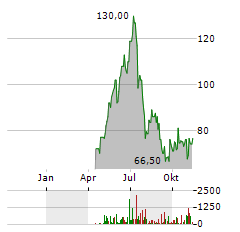 CAMTEK Aktie Chart 1 Jahr