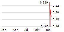 CANARY GOLD CORP Chart 1 Jahr