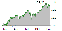 CASTELL DIGITAL OPPORTUNITIES Chart 1 Jahr