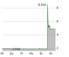 CHEETAH NET SUPPLY CHAIN SERVICE INC Chart 1 Jahr