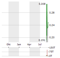 COPPERNICO METALS Aktie Chart 1 Jahr