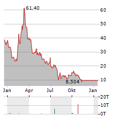 DANIMER SCIENTIFIC Aktie Chart 1 Jahr