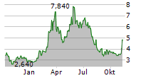 DATA STORAGE CORPORATION Chart 1 Jahr