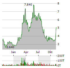 DATA STORAGE CORPORATION Aktie Chart 1 Jahr