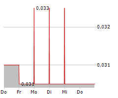 DGTL HOLDINGS INC Chart 1 Jahr