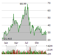 DIREXION DAILY SEMICONDUCTOR BULL 3X SHARES Jahres Chart