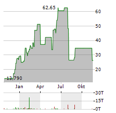 DIREXION DAILY SEMICONDUCTOR BULL 3X Aktie Chart 1 Jahr