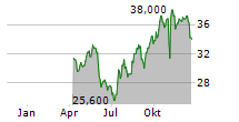 DISTRIBUTION SOLUTIONS GROUP INC Chart 1 Jahr