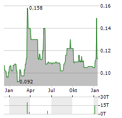 DP POLAND Aktie Chart 1 Jahr