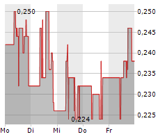 FIRST NORDIC METALS CORP Chart 1 Jahr