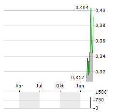 GIG SOFTWARE Aktie Chart 1 Jahr