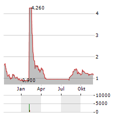 HITEK GLOBAL Aktie Chart 1 Jahr