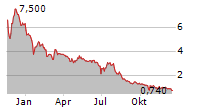 LAZYDAYS HOLDINGS INC Chart 1 Jahr