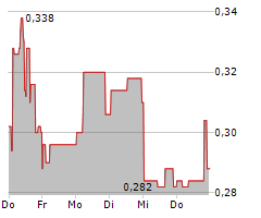 LIBERO COPPER & GOLD CORPORATION Chart 1 Jahr