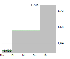 MAGNERA CORPORATION Chart 1 Jahr