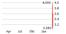 MICROPOLIS HOLDING COMPANY Chart 1 Jahr