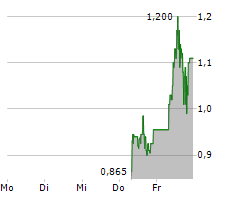 NETRAMARK HOLDINGS INC Chart 1 Jahr