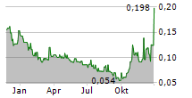 NEVADA LITHIUM RESOURCES INC Chart 1 Jahr