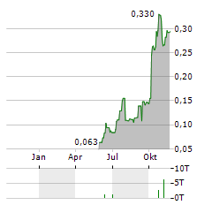 NEW ENERGY METALS Aktie Chart 1 Jahr