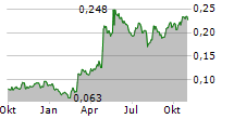 NEWCORE GOLD LTD Chart 1 Jahr