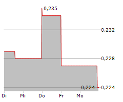 NEWCORE GOLD LTD Chart 1 Jahr