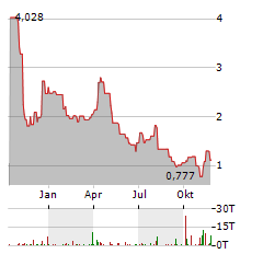 NINE ENERGY SERVICE Aktie Chart 1 Jahr