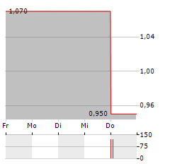 NSI ASSET Aktie 5-Tage-Chart