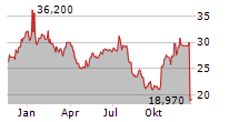 TECHTARGET INC Chart 1 Jahr