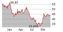 VANECK RARE EARTH AND STRATEGIC METALS ETF Chart 1 Jahr