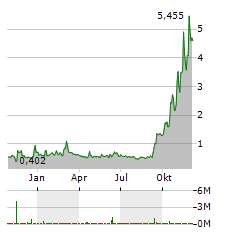 WANG & LEE GROUP Aktie Chart 1 Jahr